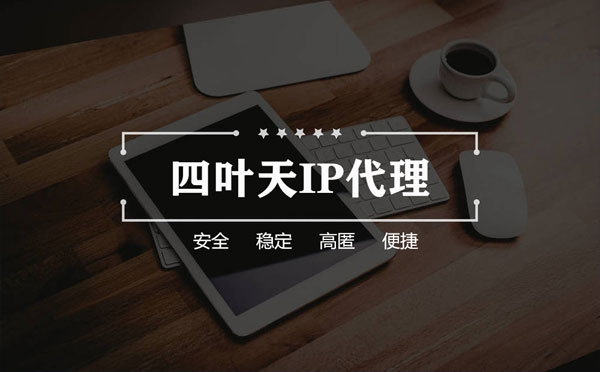 【郑州代理IP】如何快速搭建代理IP？怎么检查代理的效果？